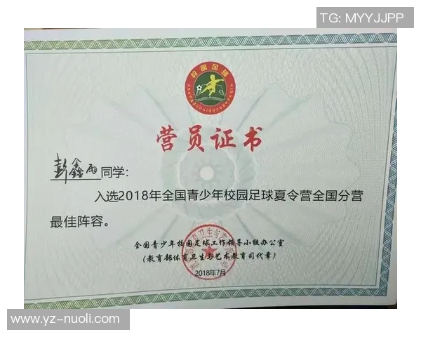 足球培训费用解析及其对青少年发展的影响探讨