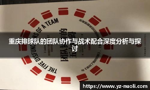 重庆排球队的团队协作与战术配合深度分析与探讨
